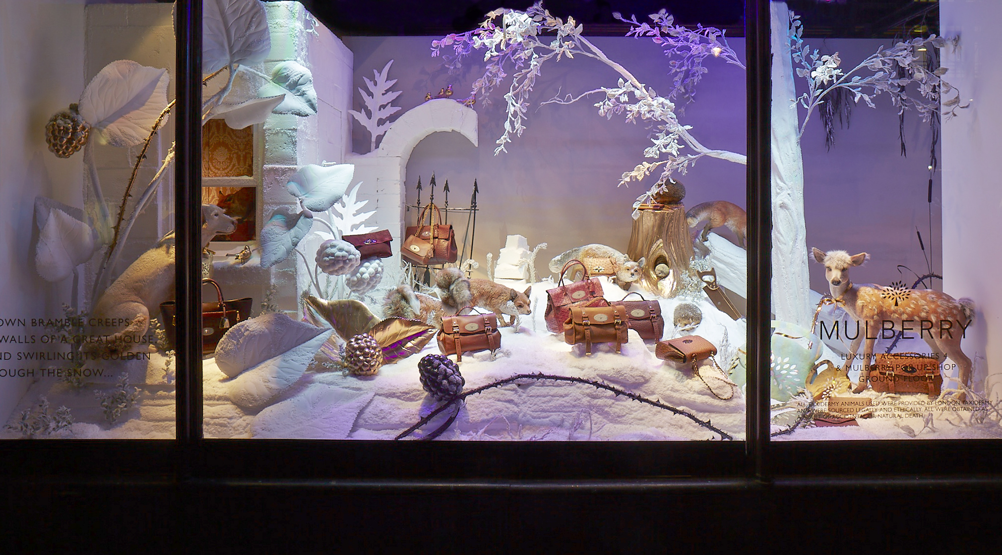 Mulberry_Harrods_window1