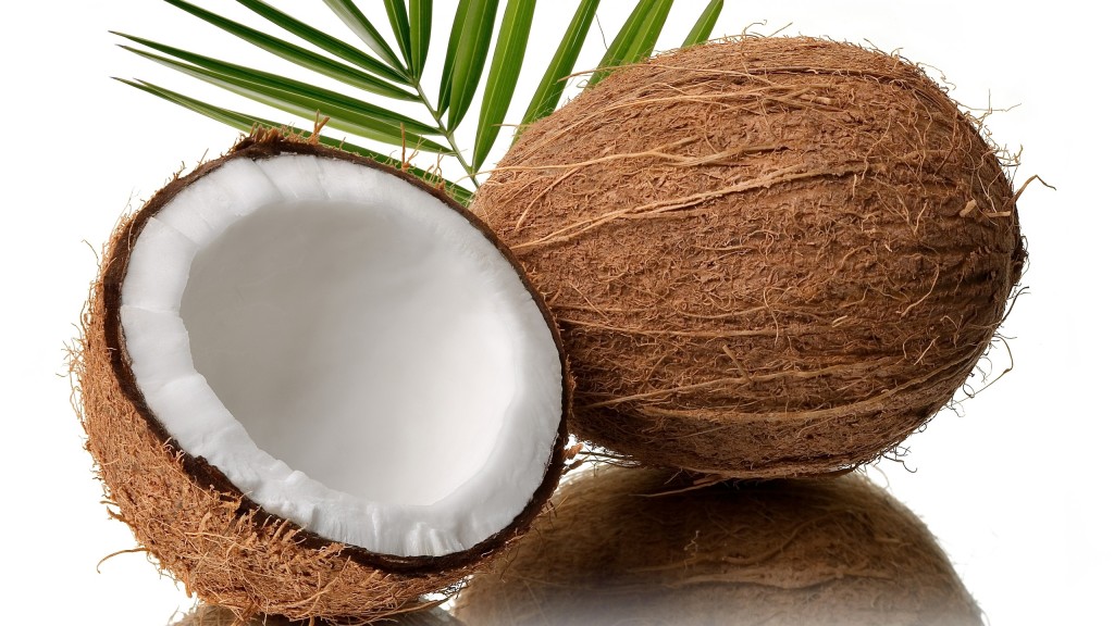 coconut1